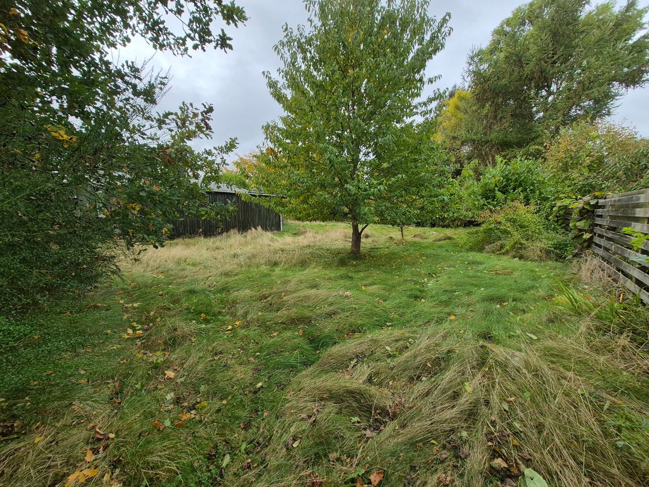 image 03