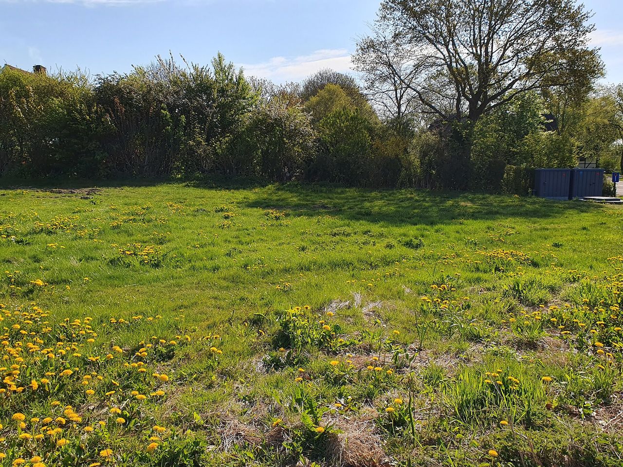 image 04