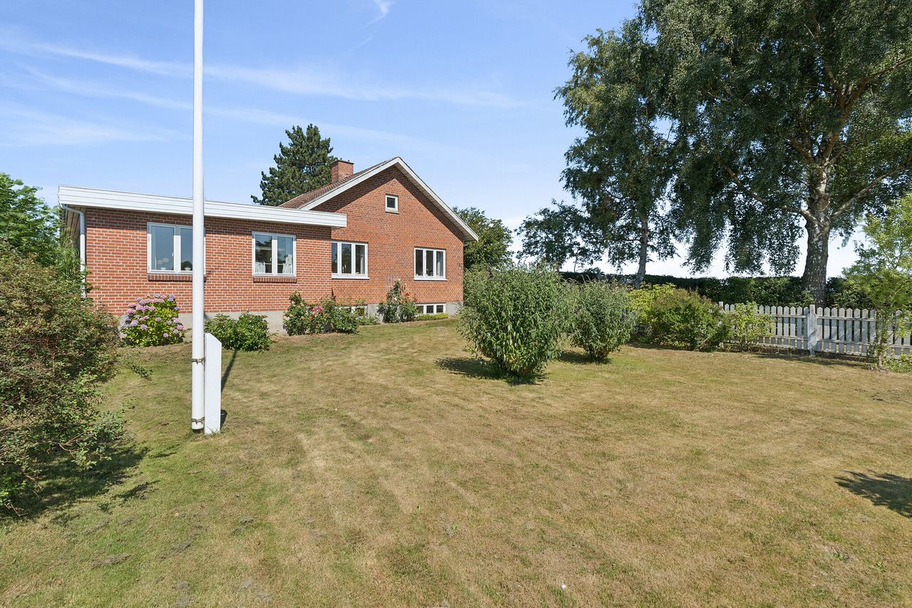 image 01