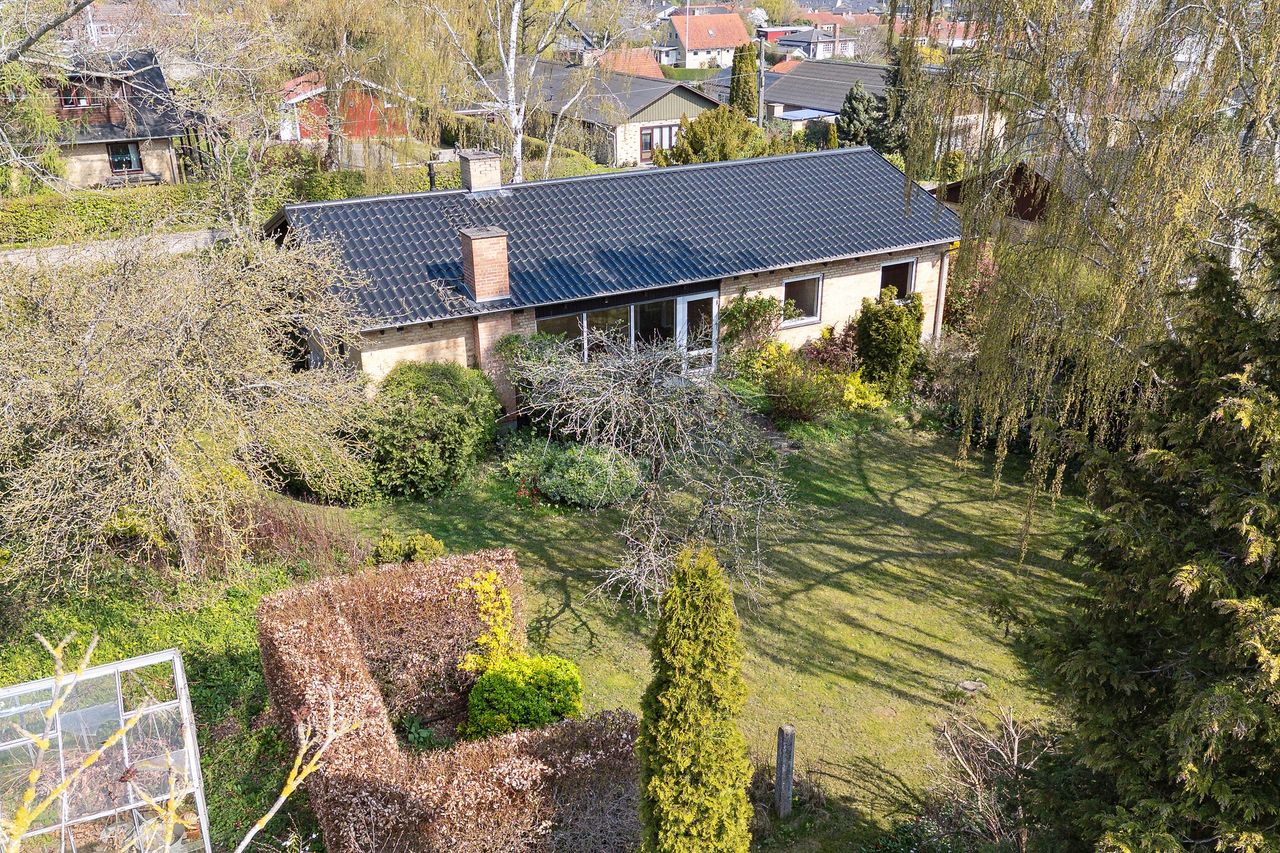 image 01
